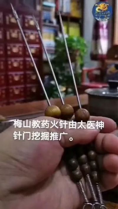 医学行业楷模人物著名针灸大师、神针王  ——杨 河（杨罗河道长，天医大法师）